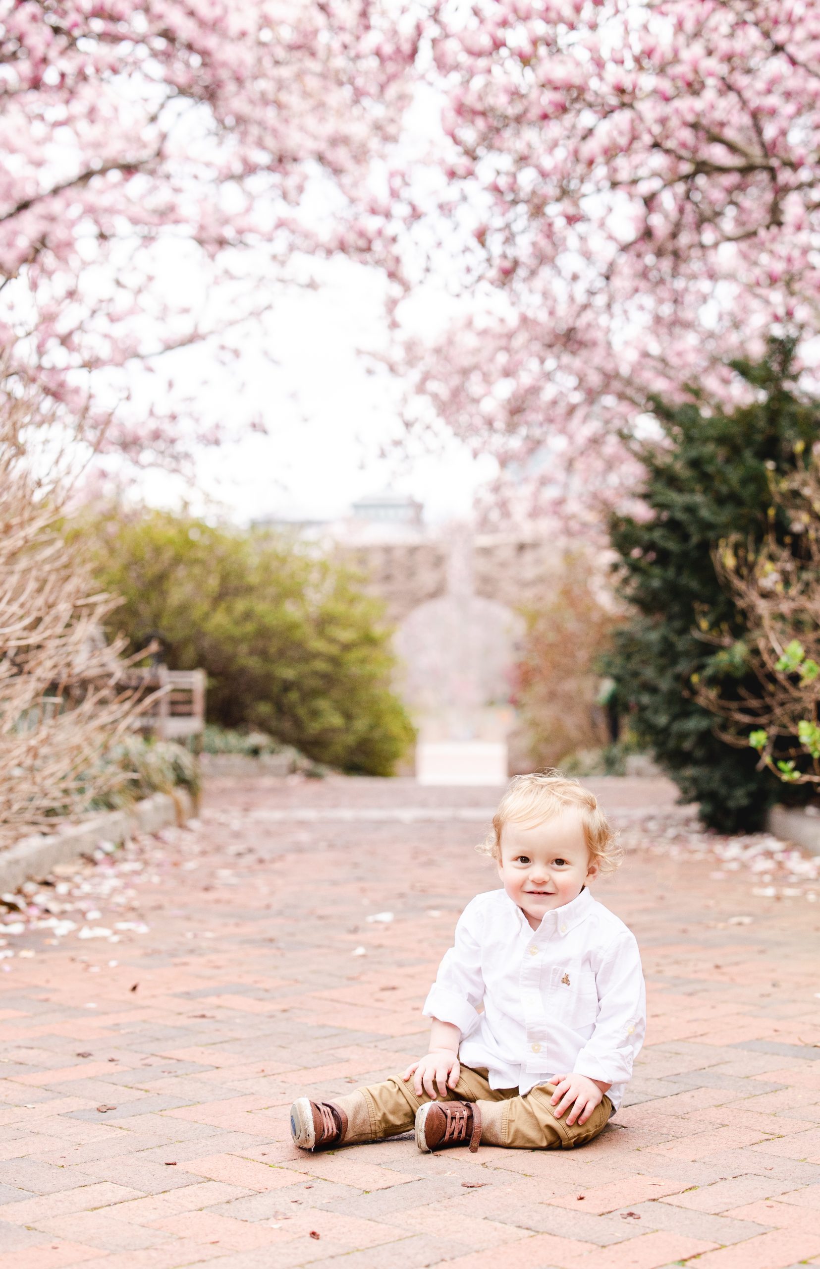 one year old baby boy sitting under pink saucer magnolia trees smiling at the camera by northern virginia baby photographer