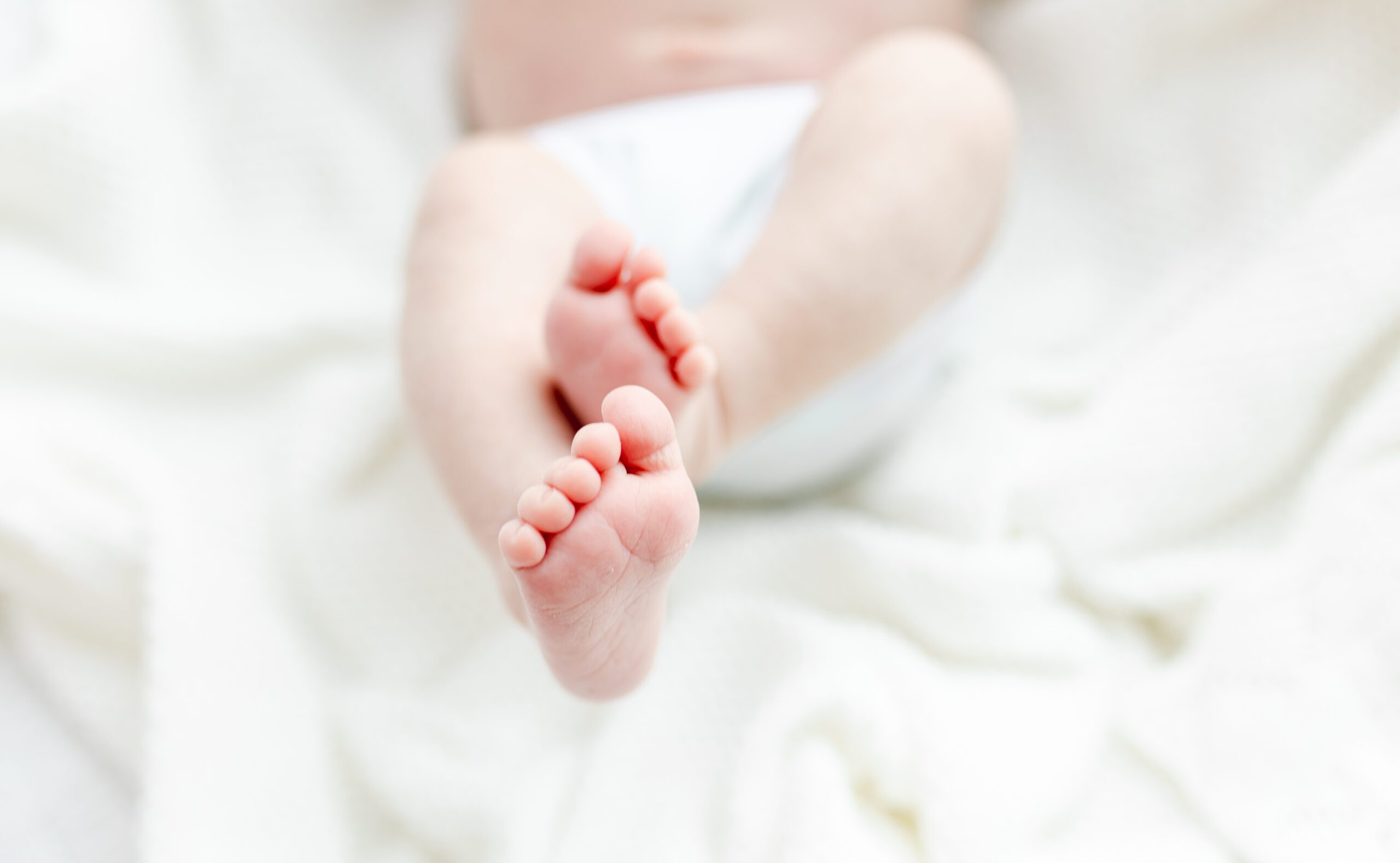close up of a newborn baby's feet in studio