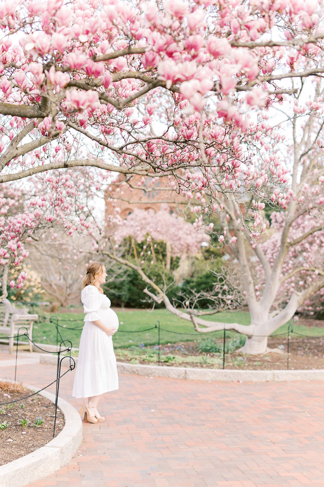 Maternity Photographer Enid A. Haupt Garden Saucer Magnolia Peak Bloom