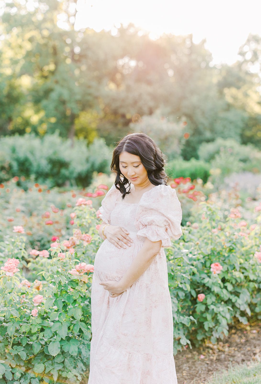 A mother to be holds her bump in a pink dress while exploring a rose garden at sunset